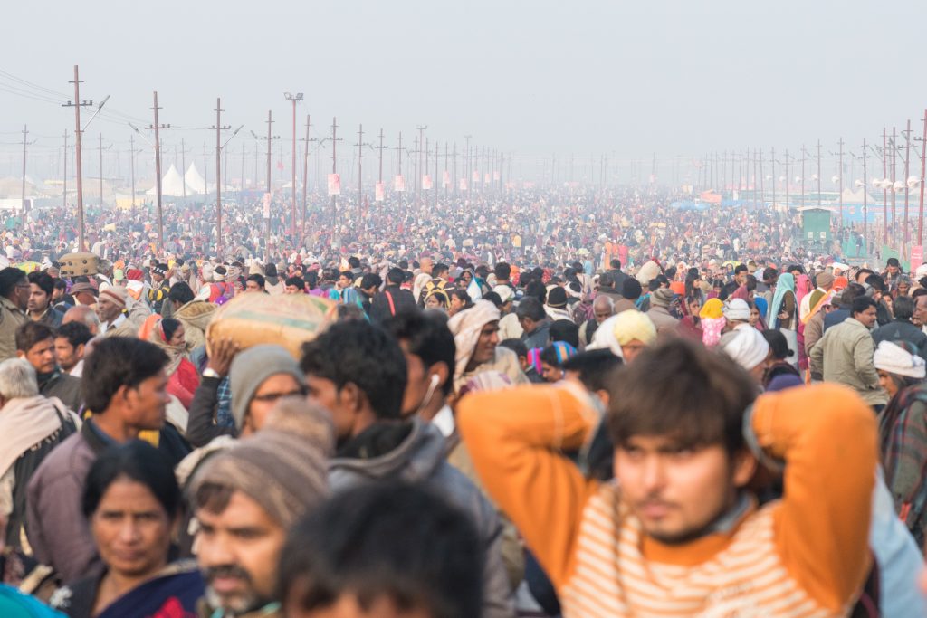 Crows at the Kumbh mela festival, India.